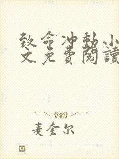 致命冲动小说全文免费阅读