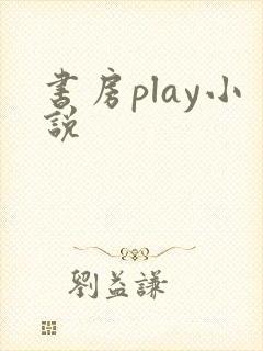 书房play小说