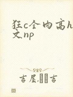 狂c全肉高h辣文np封面