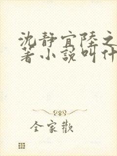 沈静宜陆之远原著小说叫什么