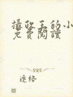 摄政王的小狼妃免费阅读