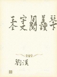 王宇周美琴小说全文阅读下载