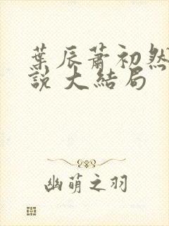 叶辰萧初然 小说 大结局