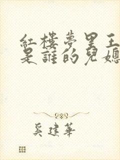 红楼梦里王熙凤是谁的儿媳妇