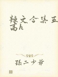 辣文合集五百篇高h