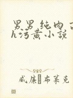 男男 纯肉 高h污黄小说