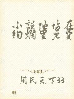 小说他站在夏花绚烂里免费阅读全文