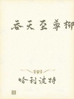 吞天至尊柳无邪