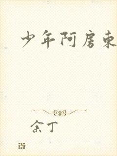 少年阿房东太太