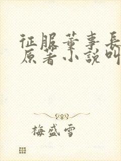 征服董事长夫人原著小说叫什么