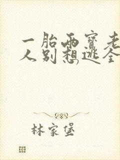 一胎两宝老婆大人别想逃全文免费阅读全文封面