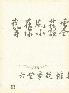 我在风花雪月里等你小说全文阅读封面