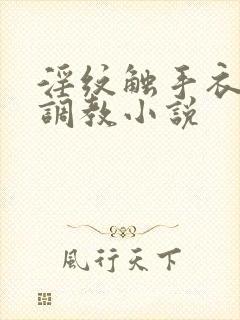 淫纹触手衣高潮调教小说