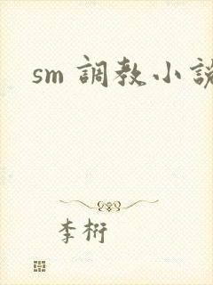 sm 调教小说封面