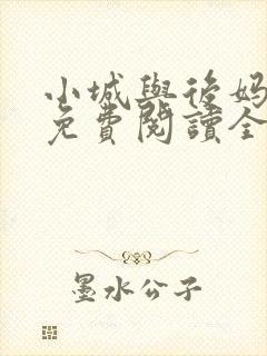 小城与后妈小说免费阅读全文最新章节封面