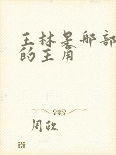 王林是哪部小说的主角