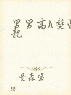 男男高h双性双龙