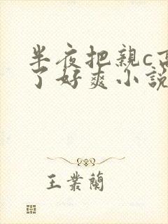 半夜把亲c高潮了好爽小说