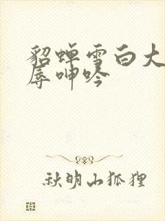 貂蝉雪白大腿屈辱呻吟