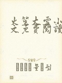 火笙大雪小说全文免费阅读