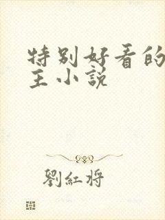 特别好看的双男主小说