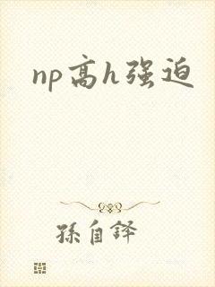 np高h强迫封面