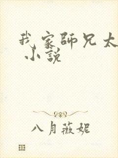 我家师兄太稳健 小说