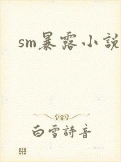 sm暴露小说封面