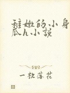 稚嫩的小身子破瓜h小说