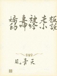 娇妻被老板蹂躏的呻吟小说