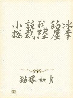 小说我的冰山女总裁陆尘李清瑶免费阅读封面