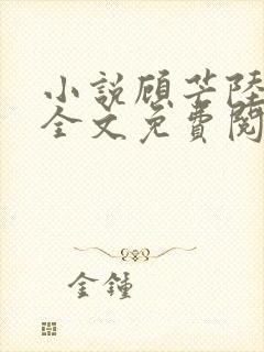 小说顾芒陆承洲全文免费阅读全文封面