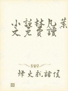 小说林凡叶惜全文免费读