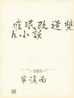 催眠改造双男高h小说