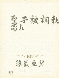 圣子被调教成禁脔h