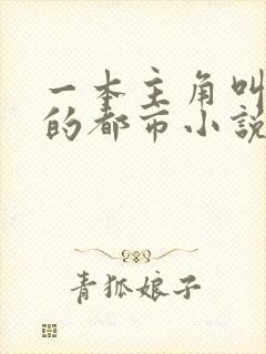 一本主角叫叶欢的都市小说封面