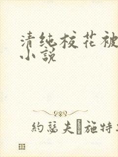 清纯校花被调教小说