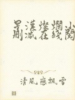 星汉灿烂小说无删减在线阅读封面