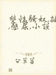 双性骚奴,抽b,憋尿,小说