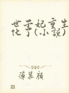 世子妃重生后黑化了(小说)封面