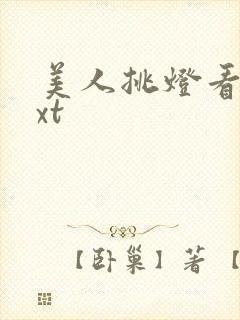 美人挑灯看剑txt封面