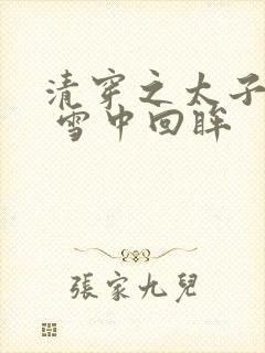 清穿之太子娇妃 雪中回眸封面