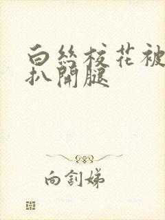 白丝校花被强制扒开腿