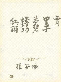 红楼梦里贾蔷是谁的儿子封面