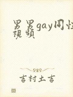 男男gay同性视频