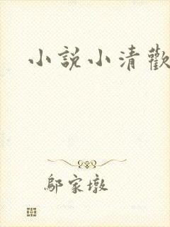 小说小清欢番外