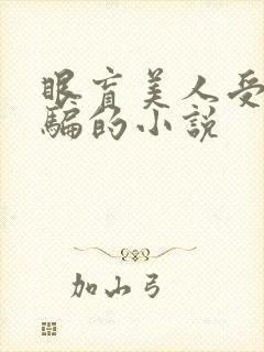 眼盲美人受被哄骗的小说