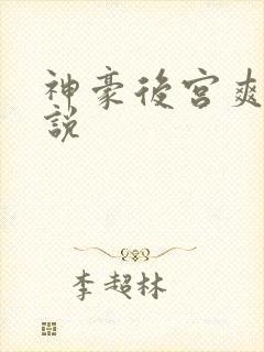 神豪后宫爽文小说