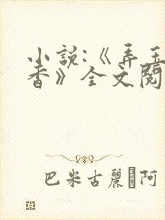 小说:《弄玉偷香》全文阅读