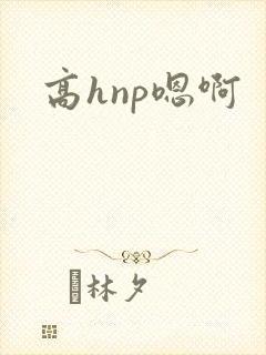 高hnp嗯啊